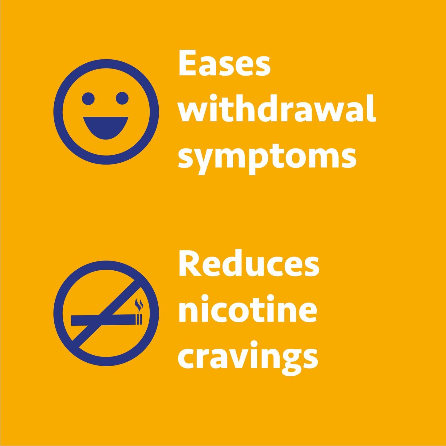 Nicotine Gum 2mg | Stop-Smoking Aid | Fruit Flavor | 160 Count | Reduces Cravings & Withdrawal Smyptoms